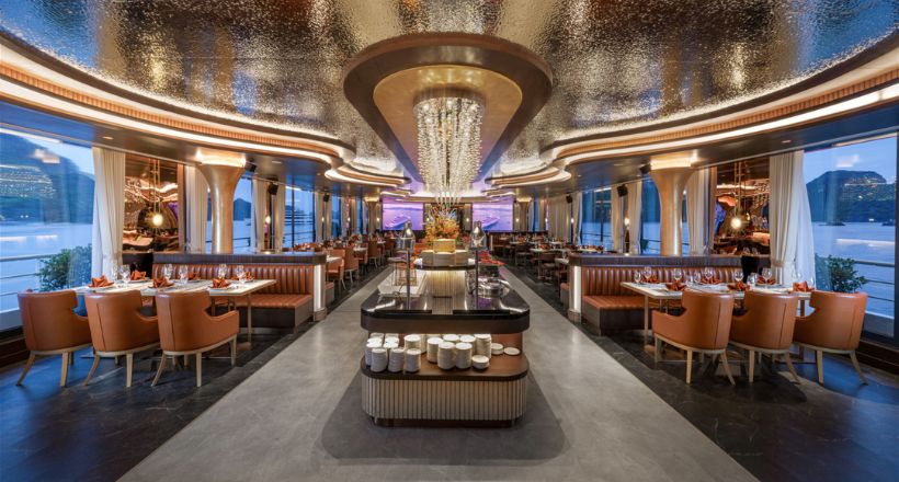 Sea Stars Cruise
